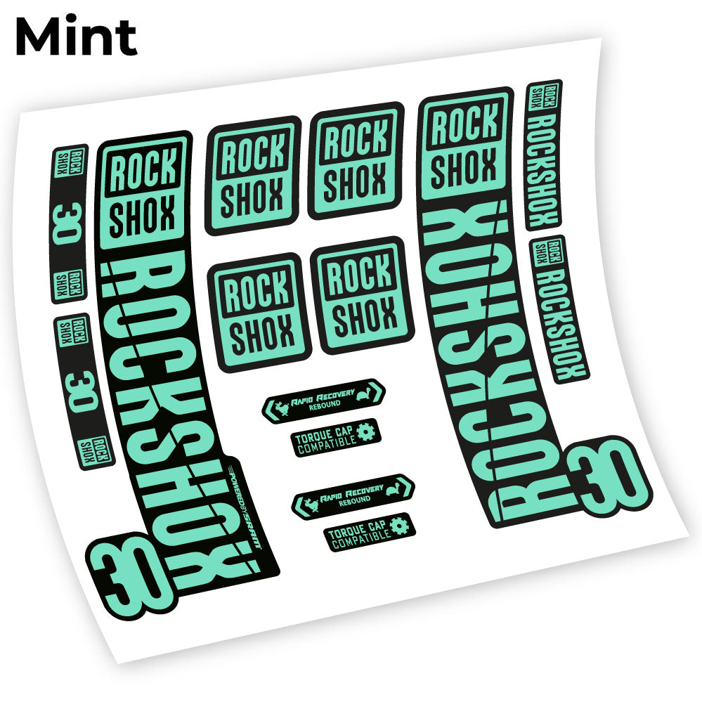 Autocollant Rock Shox 30 2019, Vélo Fourche, autocollant vinyle