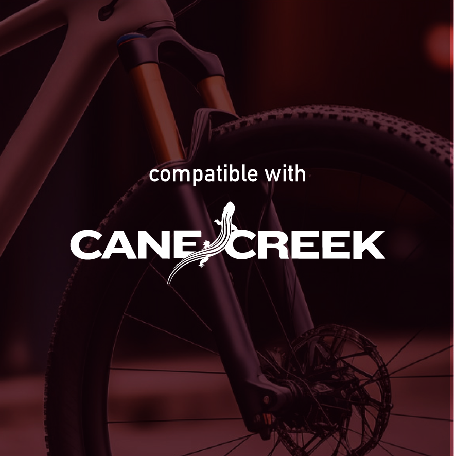 CaneCreek Fork decals