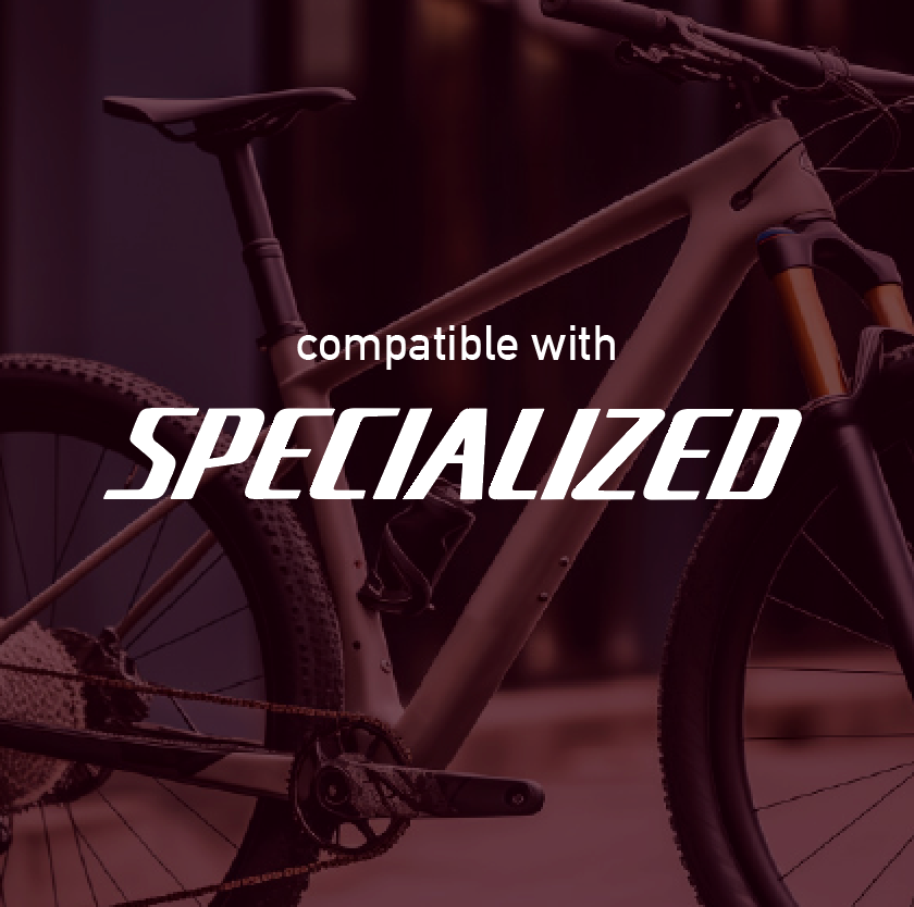 Specialized Frame decals