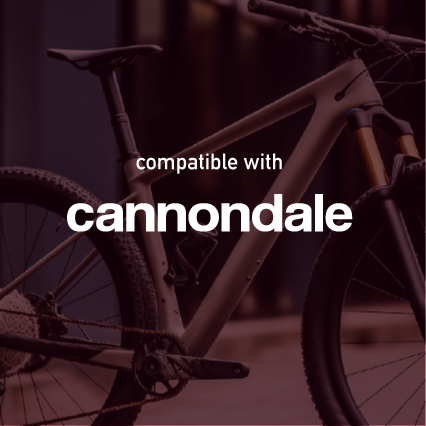 Cannondale Frame decals