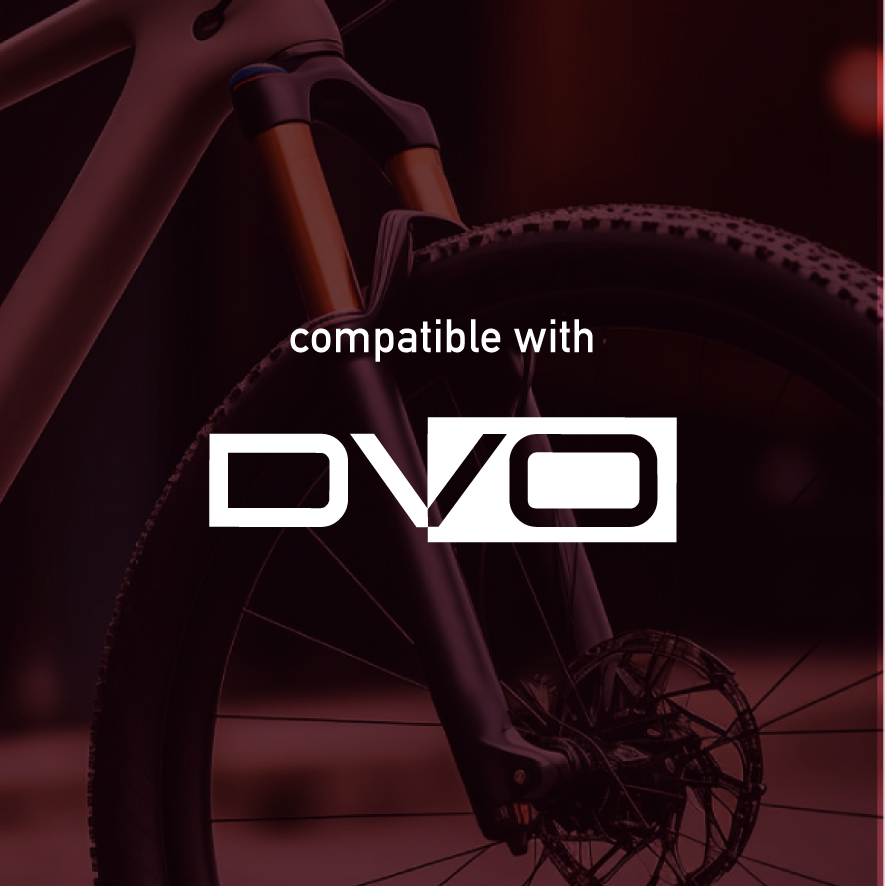DVO Fork decals