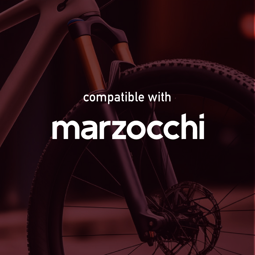 Marzocchi Fork decals
