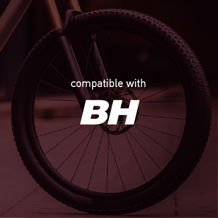 BH Mountain Wheel