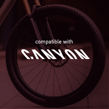 Canyon Mountain Wheel