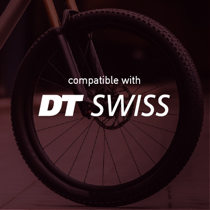 DT Swiss Mountain Wheel