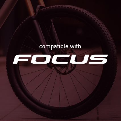 Focus Mountain Wheel