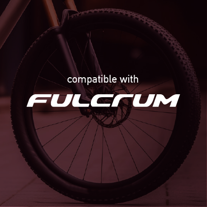 Fulcrum Mountain Wheel