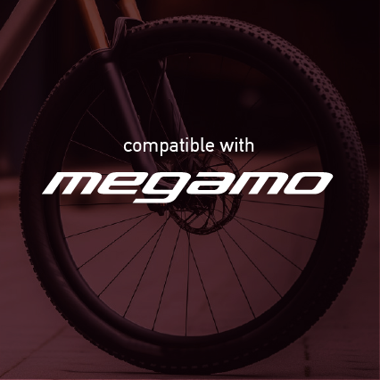 Megamo Mountain Wheel