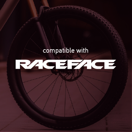 Race Face Mountain Wheel