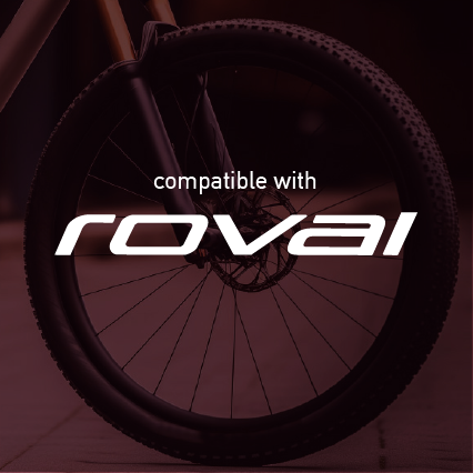 Roval Mountain Wheel