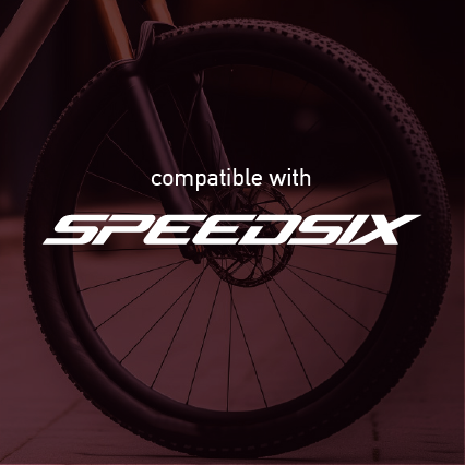Speedsix Mountain Wheel
