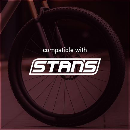 Stans Mountain Wheel